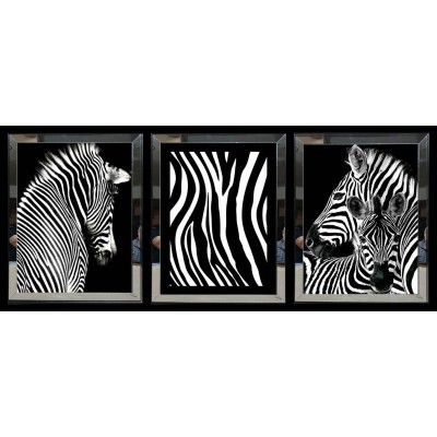 Zebra Aynalı Tablo